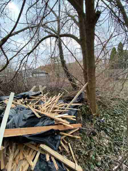 14475 Robson (18).jpg